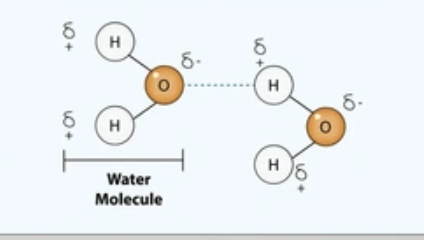 <p>Hydrogen from a molecule attracts an electronegative atom from another molecule electrostatically</p>