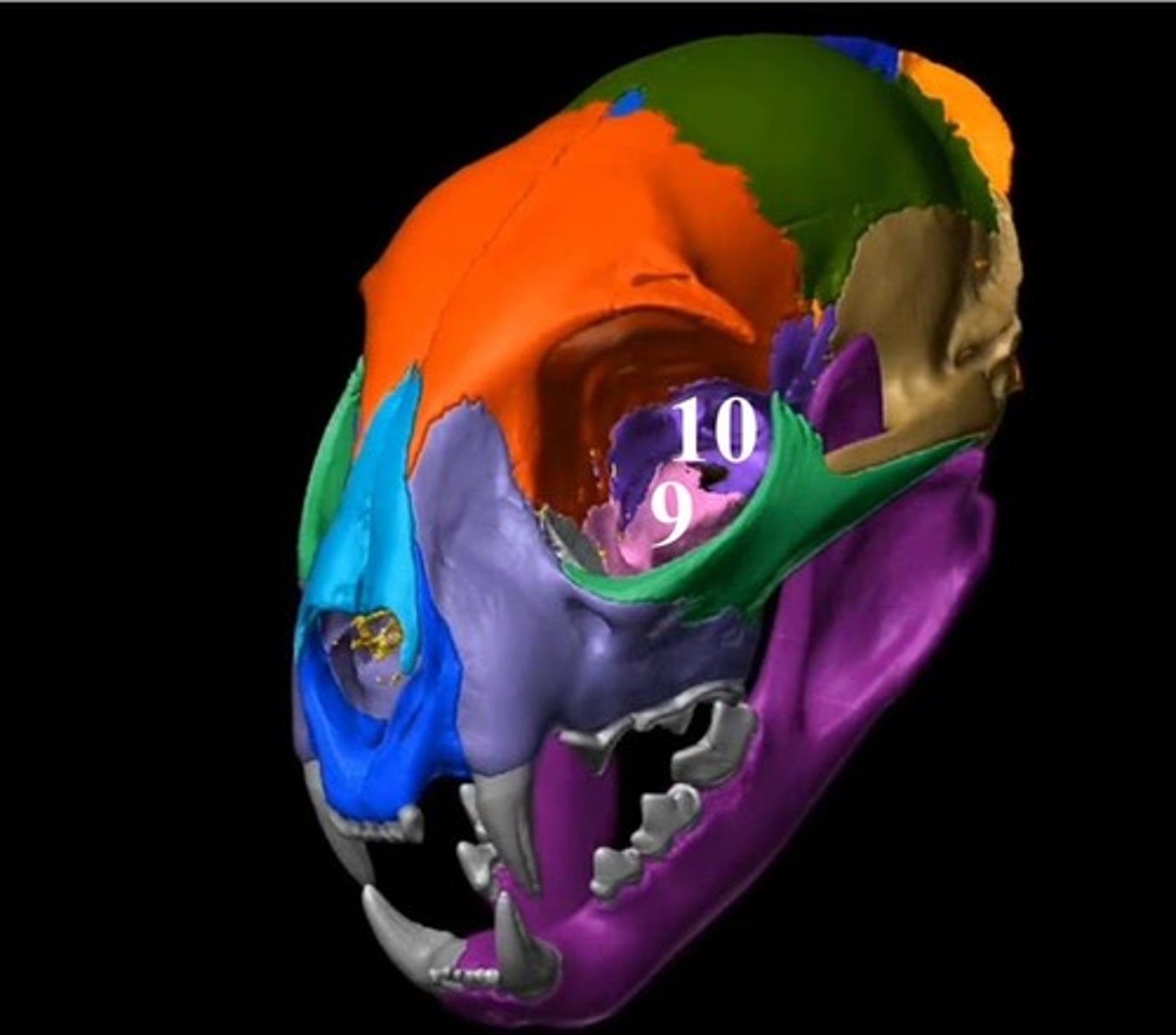 <p>9?</p>