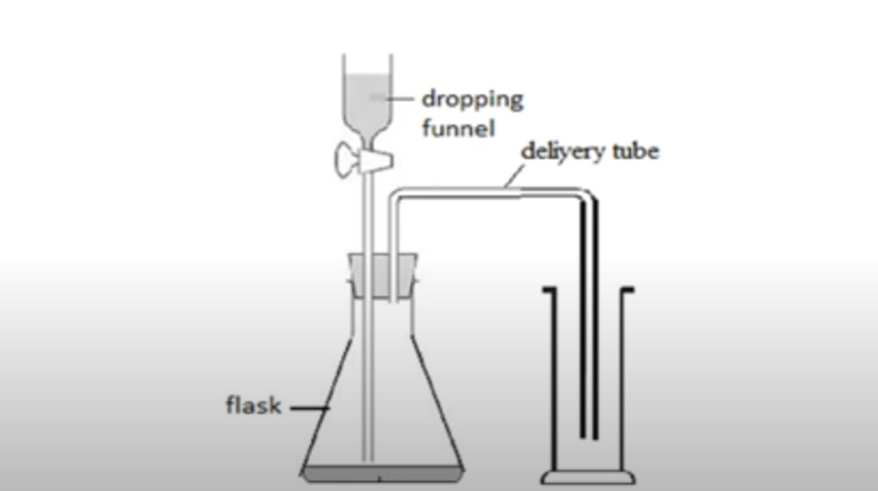<p>collect gases heavier than air</p><p>carbon dioxide, oxygen, etc</p><p></p>