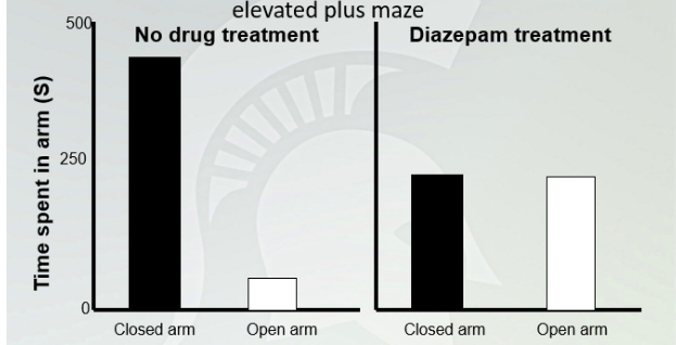 <p><strong><span style="font-family: Arial, sans-serif">Anxiolytic effects of diazepam in the elevated plus maze</span></strong></p>