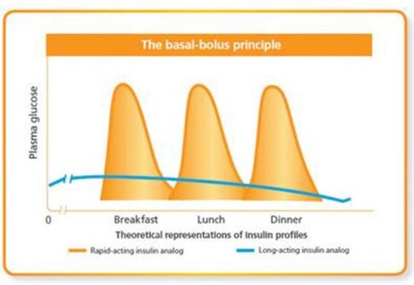 <p>- basal: constant insulin, always available (long acting) (aka background replacement - supplies body when not eating)</p><p>- bolus: short acting insulin you get at mealtime (aka "mealtime bolus"), secreted from beta cells to meet requirements</p>