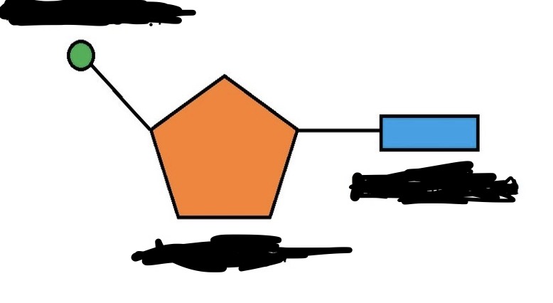 <p>what are nucleotides made up of?</p>