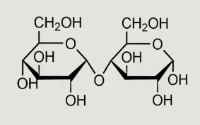 <p>What is this?</p>