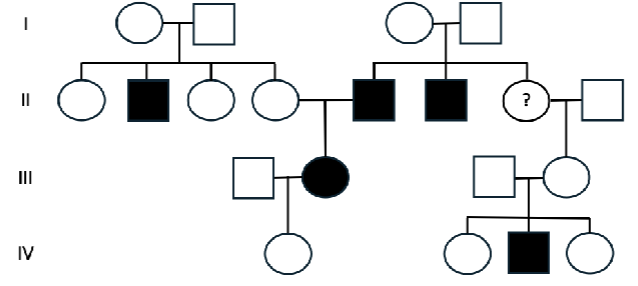 <p><span><span>Please examine the pedigree below, which illustrates the pattern of inheritance for a particular condition. Individuals who exhibit the condition of interest are shaded, while individuals who do not exhibit the condition of interest are unshaded. Given this information, what is the most likely genotype of the individual indicated with a question mark?<br>A. aa<br>B. Aa<br>C. X</span><sup><span>A</span></sup><span>X</span><sup><span>a</span></sup><span><br>D. X</span><sup><span>A</span></sup><span>X</span><sup><span>A</span></sup></span></p>