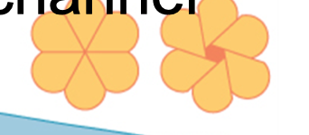 <p>Connect animal cells like plasmodesmata connect plant cells</p><ul><li><p>create by 6 elongated proteins that align on on each side of the cell</p></li></ul>