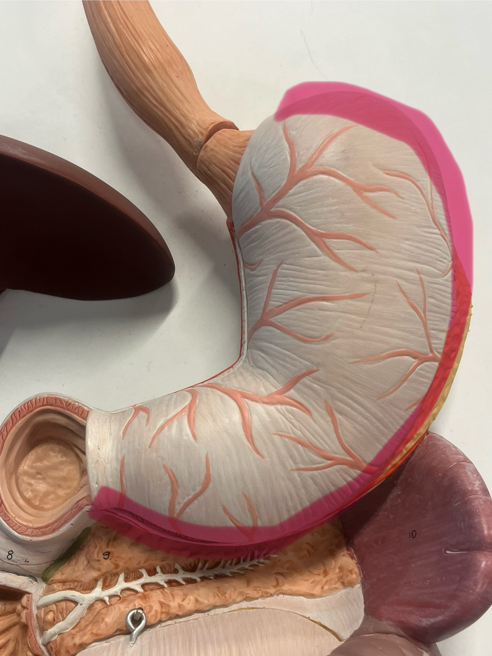 <p>what is this?</p>