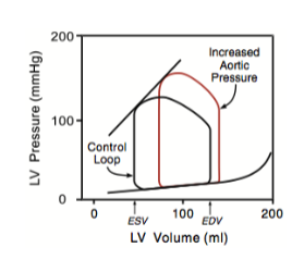 <p>decreases</p>