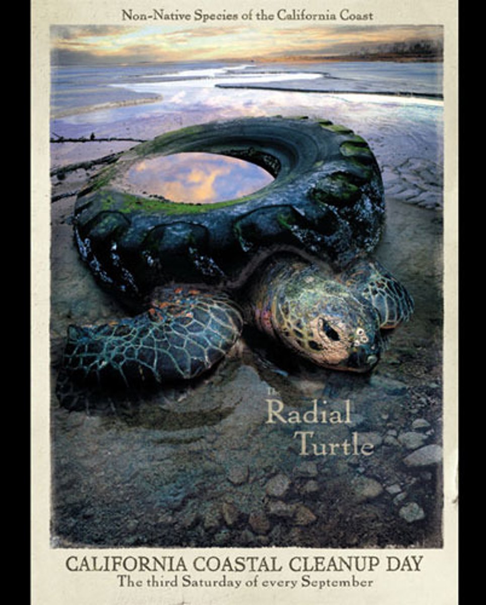 <p>n.悲怆，哀婉；痛苦；</p>