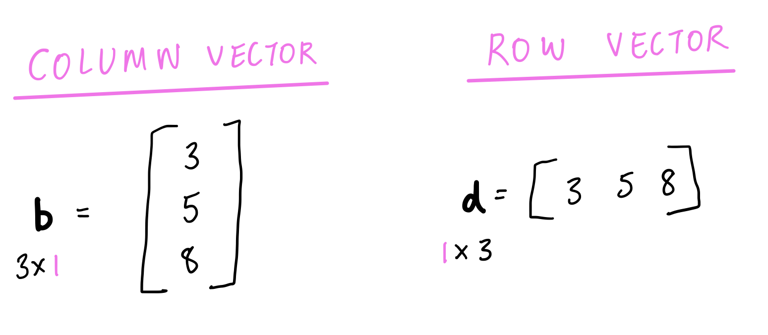 <ul><li><p>One of the dimensions is <u>EQUAL TO 1</u></p></li><li><p>A vector is denoted as a <strong>lower case bold</strong></p></li></ul><p></p>