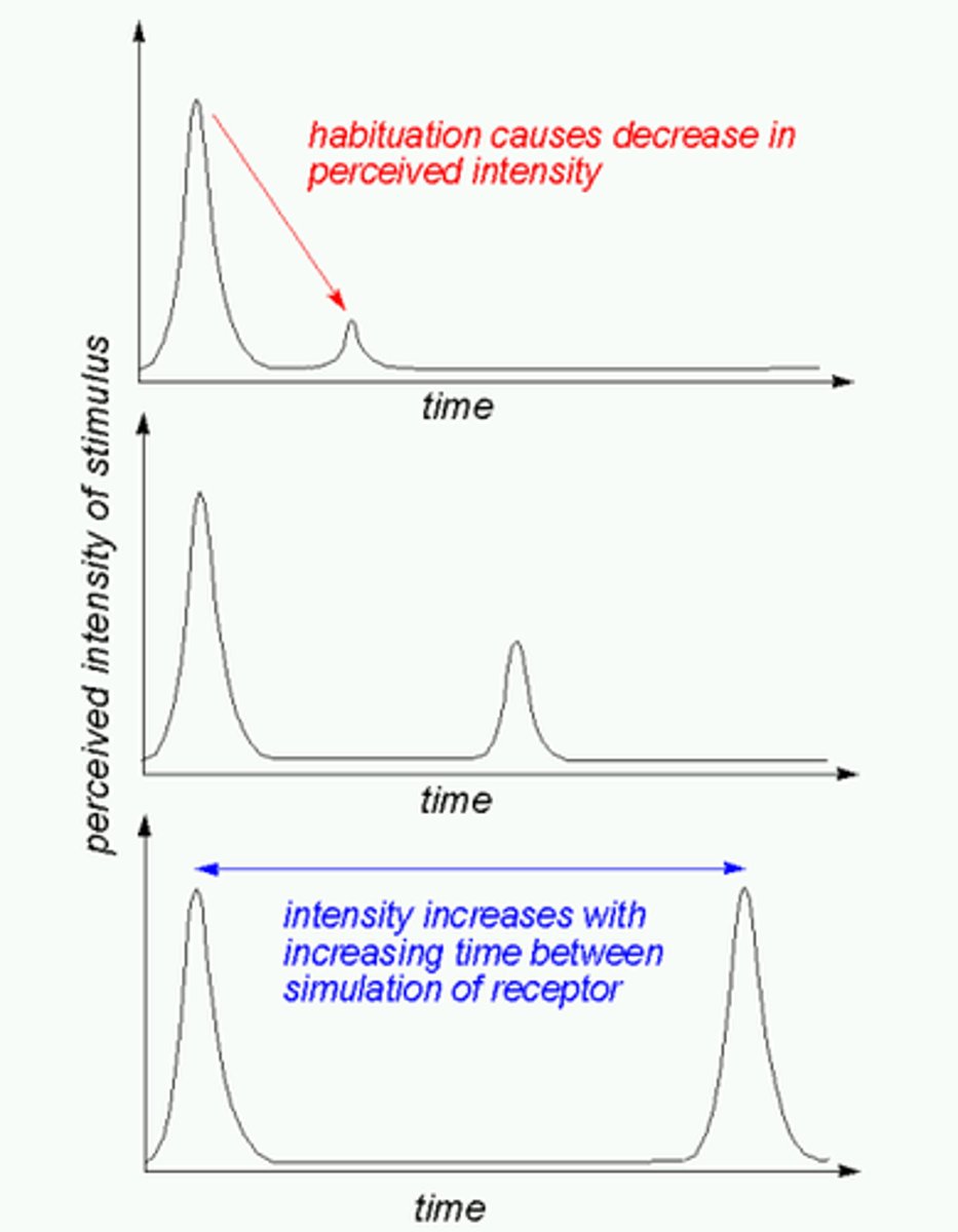 <p>As the body adapts to drug use, it begins to prepare itself before the drug user takes the drug. Because the body prepares itself, the same dose of drugs is not as effective and the drug user needs to take more of the drug to feel the same high. ie: Tolerance or Habituation.</p><p>A similar situation is seen with people who are regular coffee drinkers.</p>