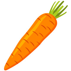 <p>Carrot</p>