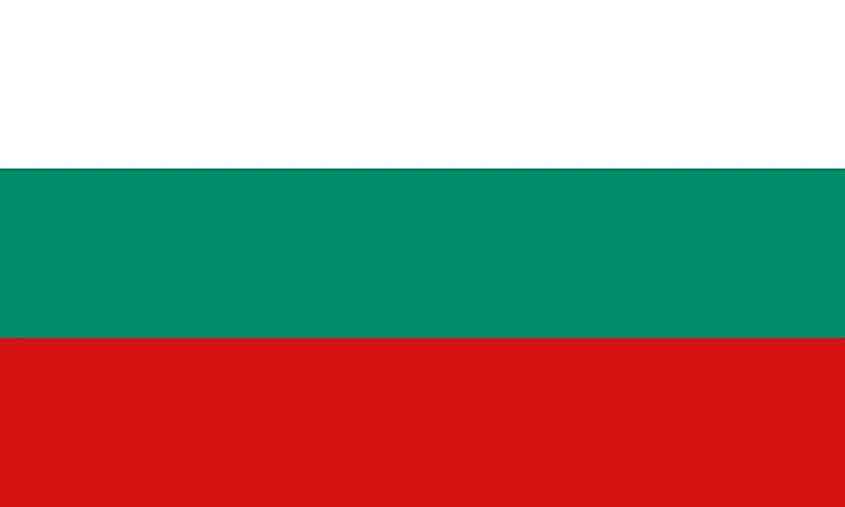 <p></p>