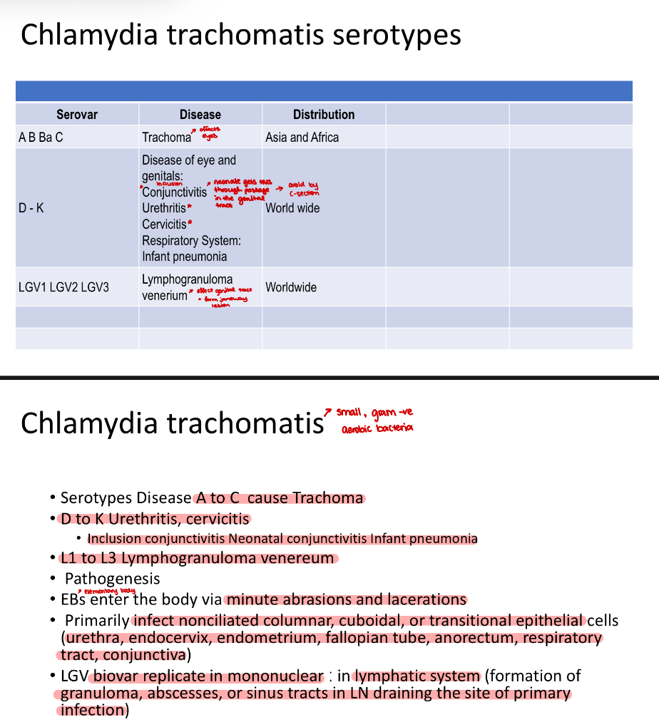 <ul><li><p>Causative agents; </p><ul><li><p>Chlamydia trachomatis</p></li></ul></li></ul><p></p><p></p>