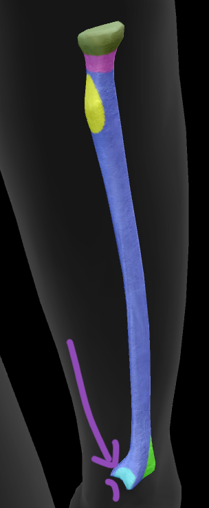 term image