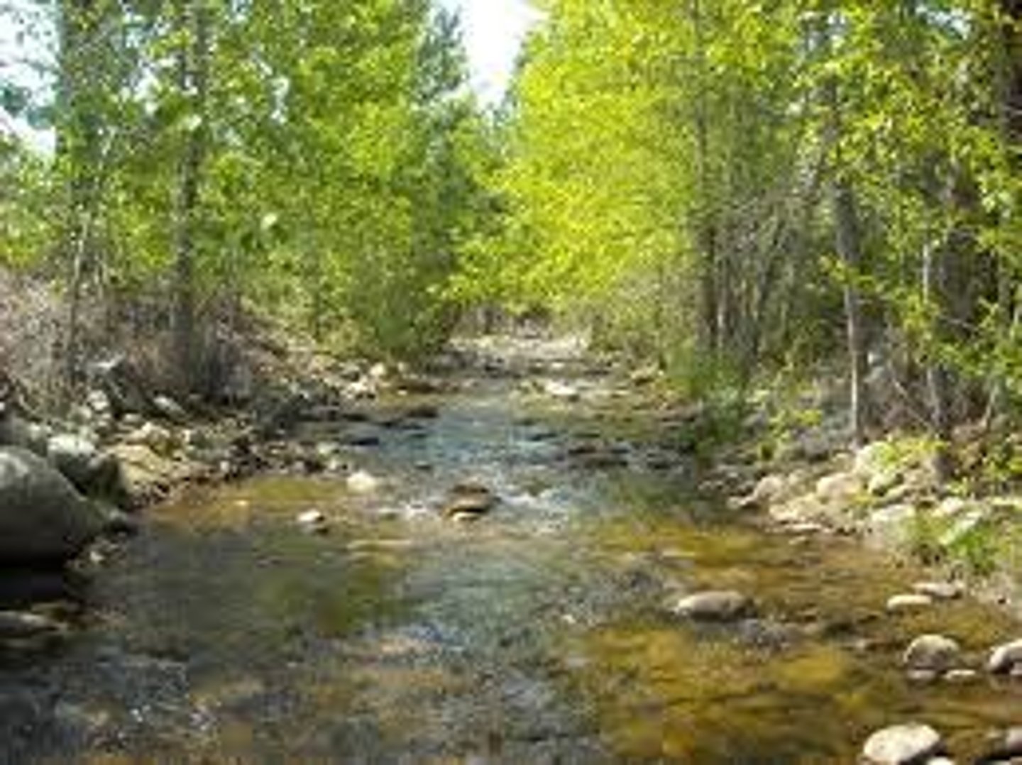 <p>An owner's rights in land that borders on or includes a stream, river, or lake. These rights include access to and use of the water.</p>