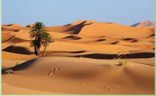 <p><span>Cover ⅕-⅓ of Earth’s land surface                          Most occur at low latitudes but some are cold deserts (Antarctica)                                         Water is scarce: less than 25 cm (10 in) of precipitation a year (called water stress), plants adapt to water stress.                                       Intense solar radiation, causes water to evaporate (called water loss).                           Note that humidity is low                      Temperature variation: over 120°F during the day, drops at night, winters may be cold                    Poor soil quality; high mineral content, but little organic matter                                              Flooding when it rains                                        Desert expansion: some deserts like the Sahara are expanding                                                      Low, sparse vegetation                                     Many endangered, rare, and unusual plants and animals because they have to survive in the extreme conditions                                            Slow to recover from habitat damage</span></p>