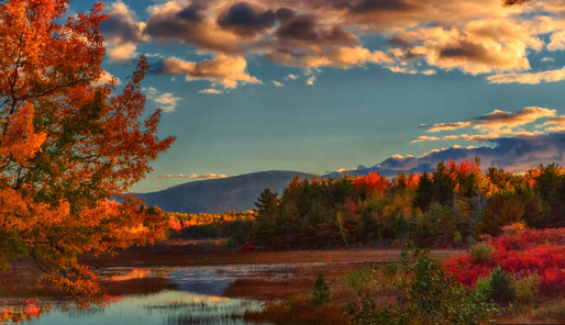 Fall