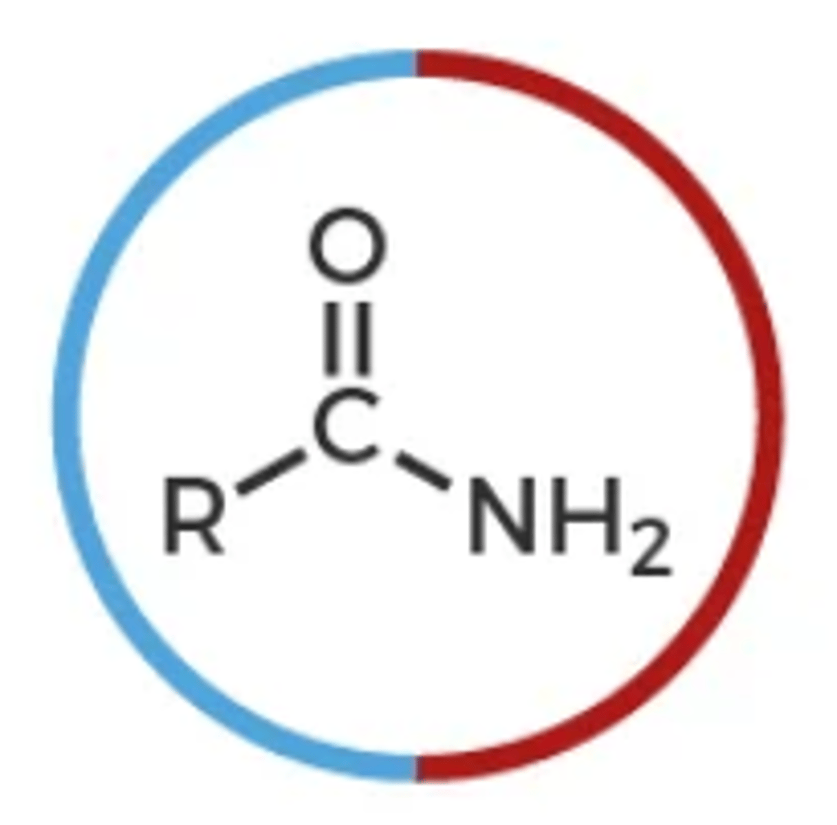 <p>R-CONH2</p>