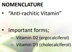 <p>VITAMIN D</p>