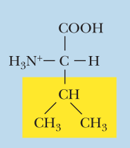 <ul><li><p>Nonpolar</p></li><li><p>Val, V</p></li><li><p>α-COOH pKa: 2.3</p></li><li><p>α-NH3+ pKa: 9.6</p></li></ul><p></p>