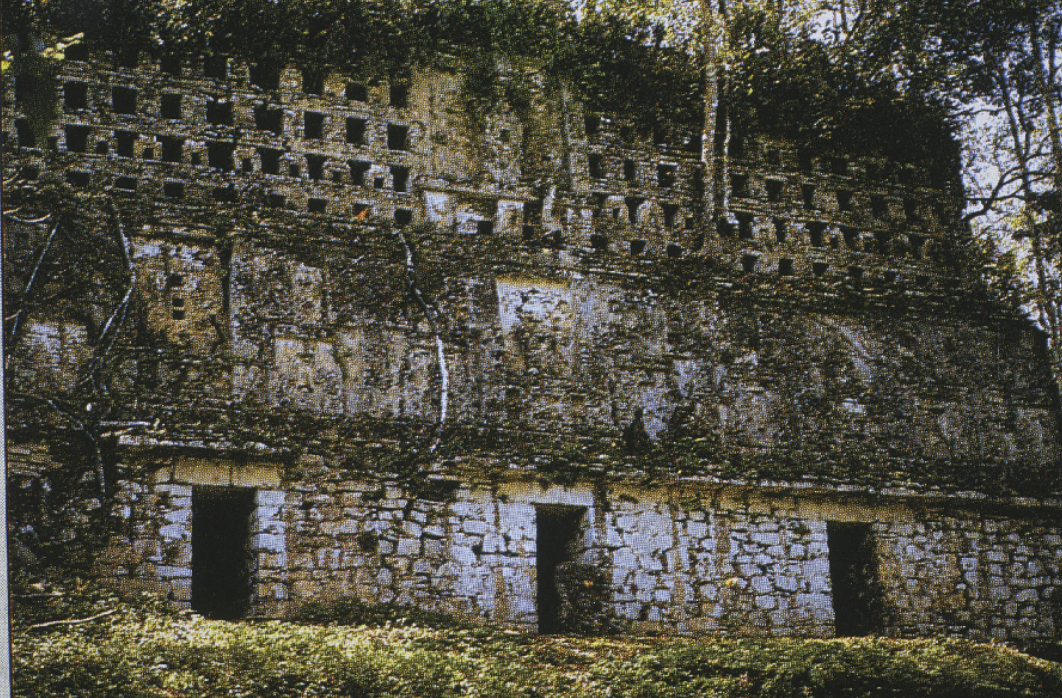 <p>Very expanisve. Perhaps astronomical markers. Large roof comb.</p>