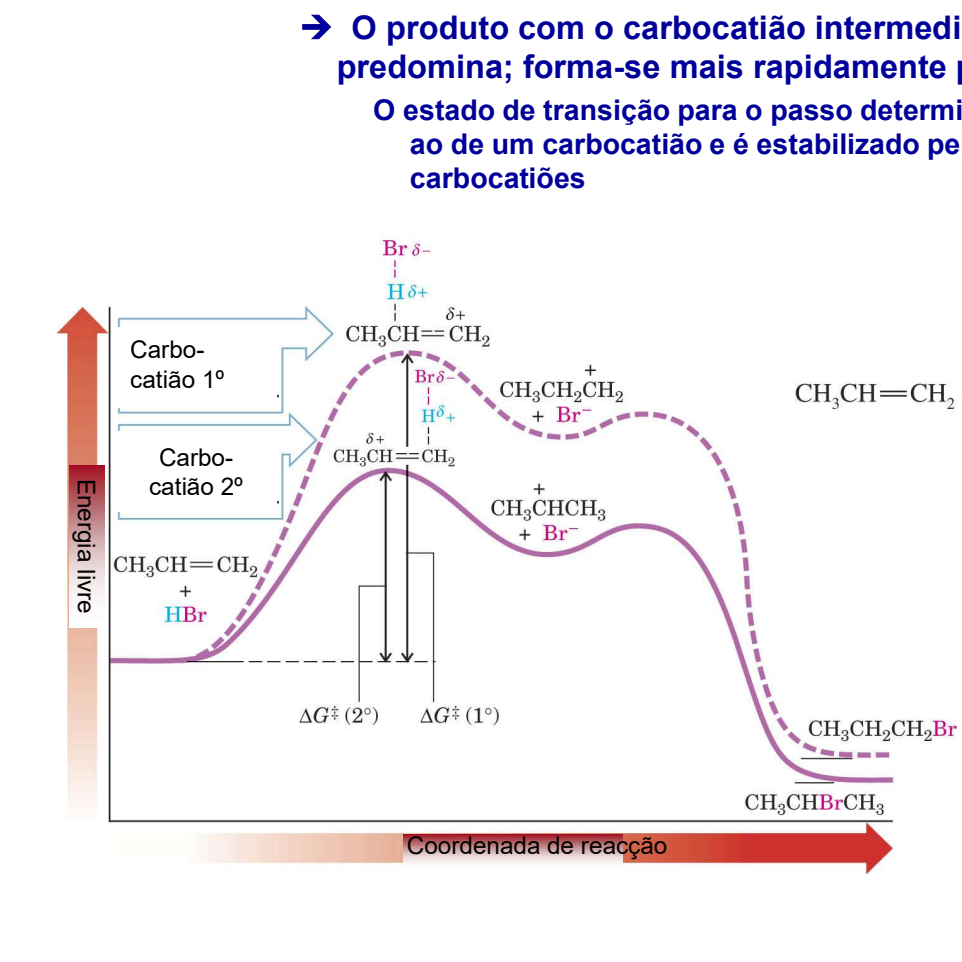 <p>O produto com o carbocatiao intermediário mais estável é o que predomina, forma se mais rapidamente porque tem variação de G++ mais baixo. O estado de transição para o passo determinante da velocidade é semelhante ao de um carbocatiao e é estabilizado pelos fatores que estabilizam os carbocatiões </p>