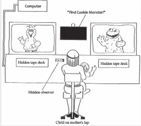 <ul><li><p><strong>Purpose: </strong>indicates children's understanding of words.</p></li><li><p class="p1">A word is played whilst visual stimuli are displayed. If infants understand the word, they are expected to look at the stimuli that match the word's meaning.</p></li></ul><p></p>