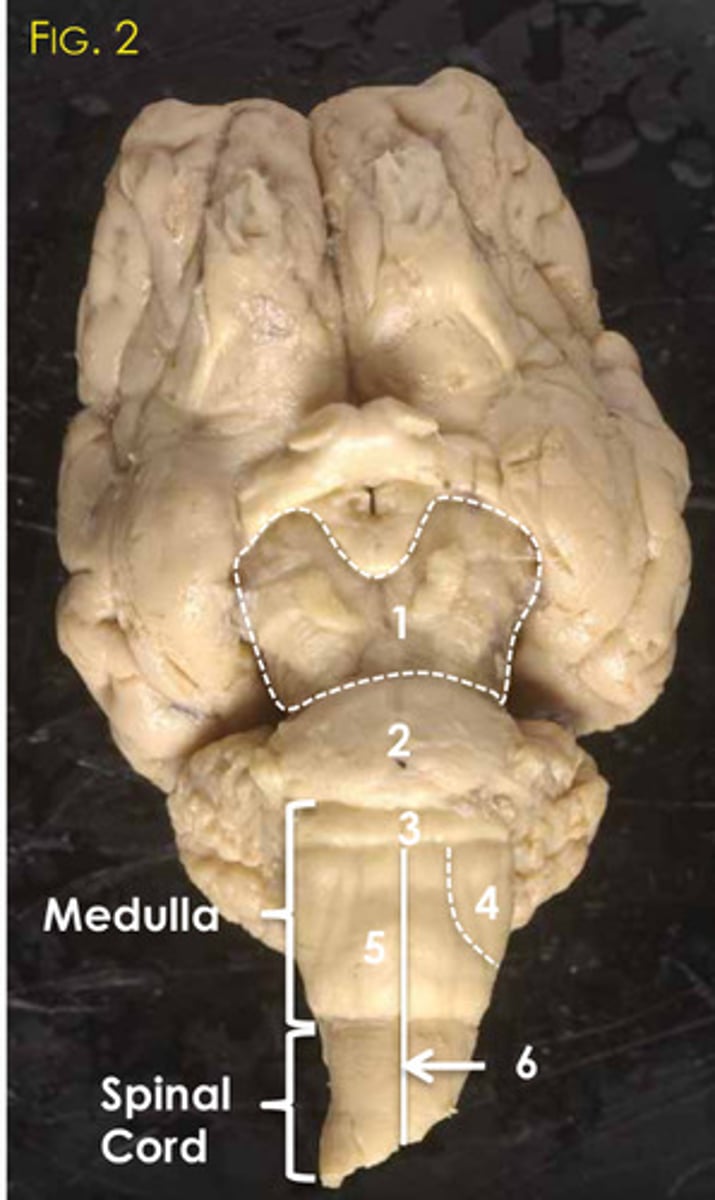 <p>2?</p>