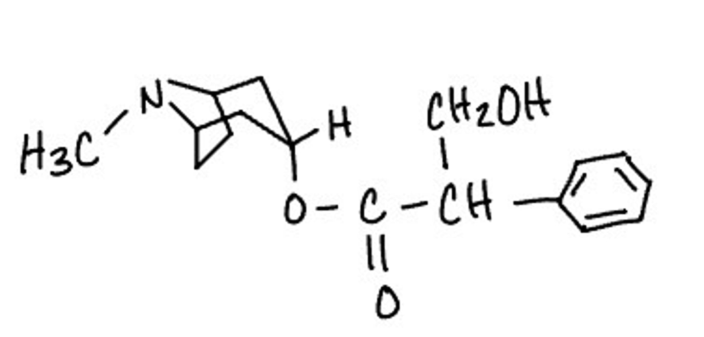 <p>muscarinic antagonist</p>