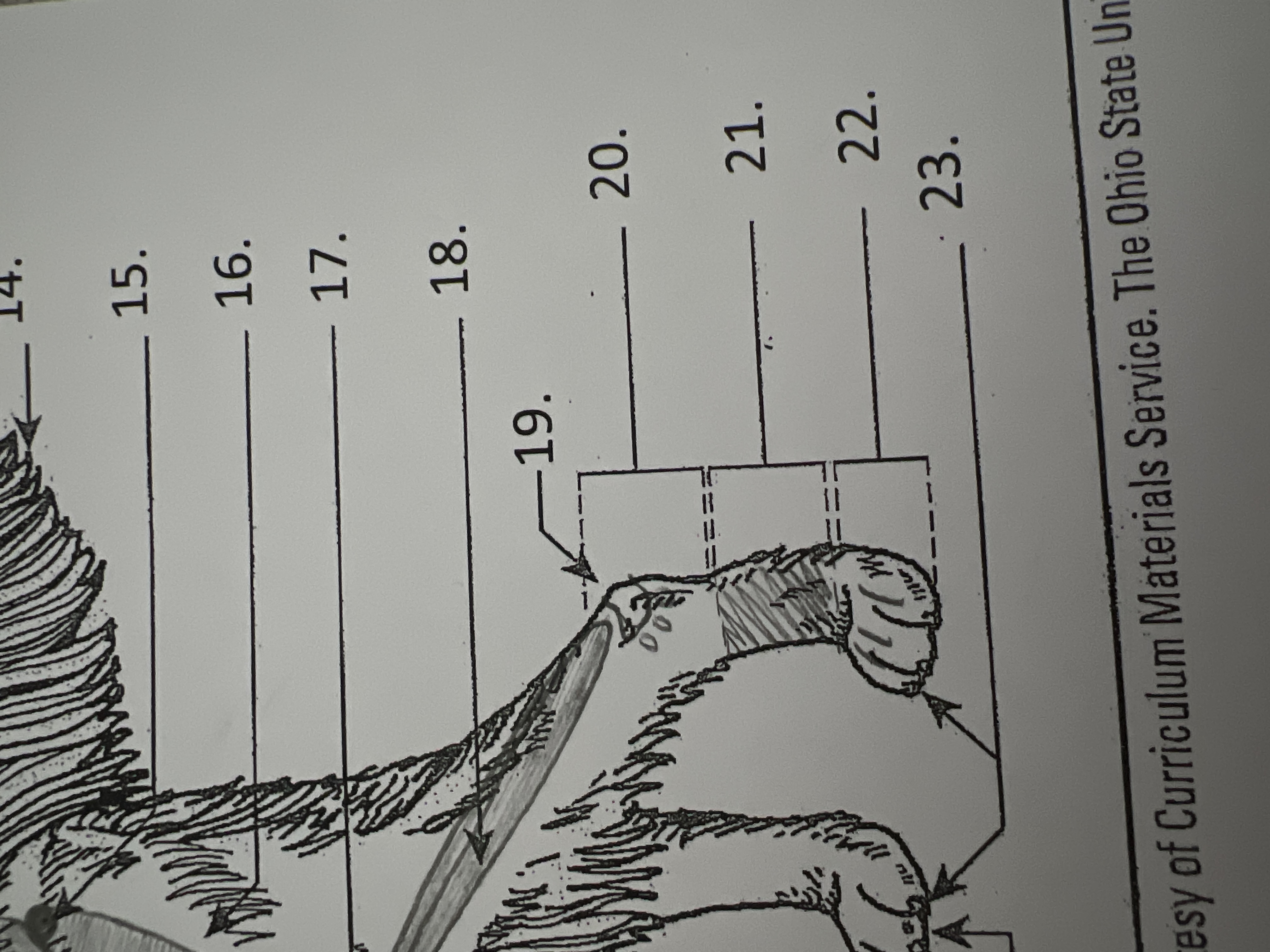 
20. \
