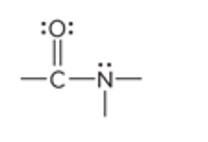 <p>Carbonyl attached to nitrogen</p>