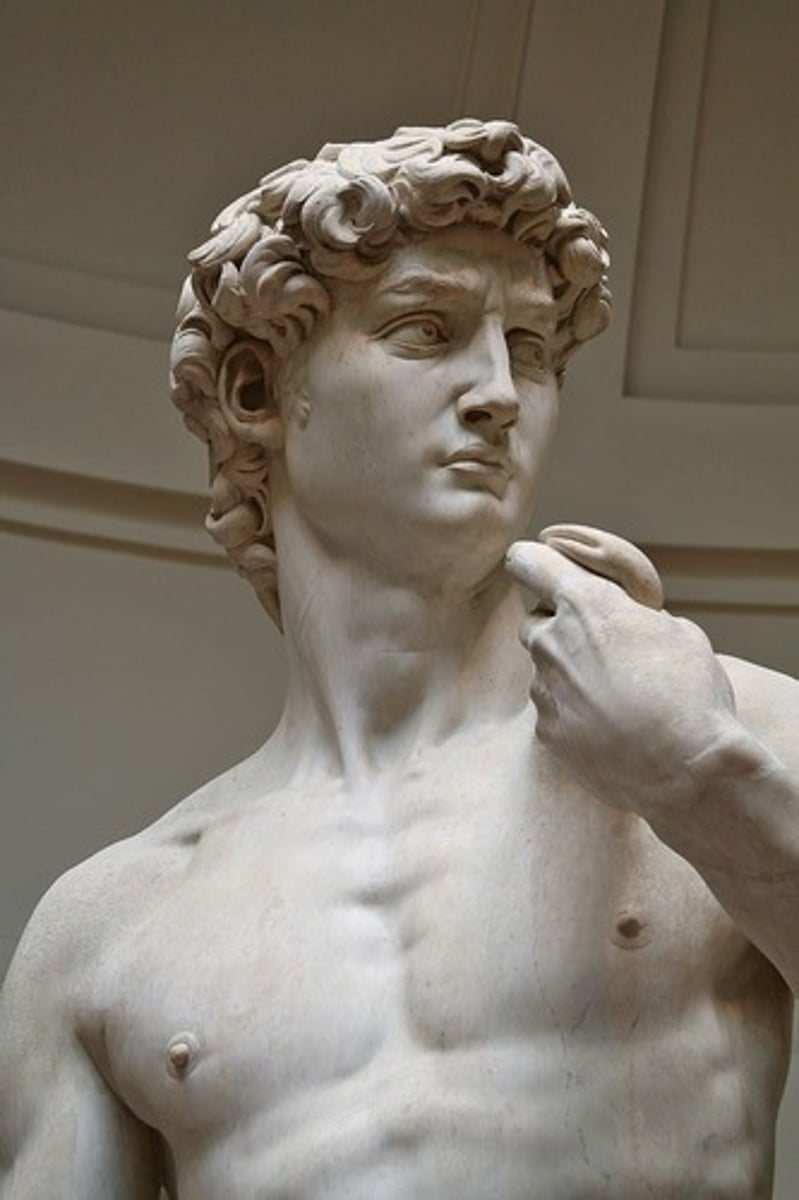 <p>A renowned Renaissance sculpture representing the biblical hero David.</p>