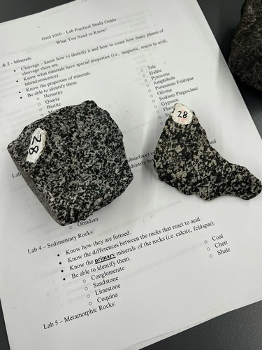 <ul><li><p>Phaneritic/crystalline</p></li><li><p>intermediate</p></li><li><p>intrusive</p></li><li><p>dark and light minerals</p></li><li><p>salt and pepper appearance </p></li></ul>