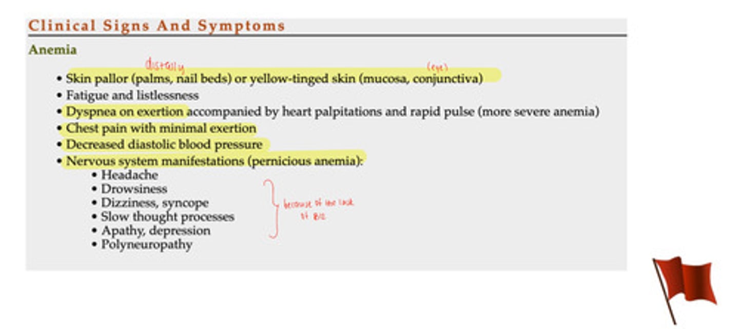 <p>- skin pallor (palms, nail beds) or yellow-tinged skin (mucosa, conjuctiva)</p><p>- fatigue or listlessness</p><p>- dyspnea or exertion accompanied by heart palpitations &amp; rapid pulse (more severe anemia)</p><p>- chest pain with minimal exertion</p><p>- decreased diastolic BP</p><p>- nervous system manifestation (pernicious anemia):</p><p>1. headache</p><p>2. drowsiness</p><p>3. dizziness, syncope</p><p>4. slow thought process</p><p>5. apathy, depression</p><p>6. polyneuropathy</p><p>*b/c of lack of B12*</p>