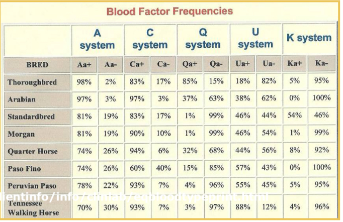<ul><li><p>Seven equine blood types, no clinically significant natural antibody</p></li><li><p>A and Q are immunogenic, stimulate IgG in A and Q negative animals&nbsp;</p></li></ul><p></p>