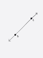 <p>An infinite number of points on a straight path that extends in two opposite directions with no end and has no thickness.</p>