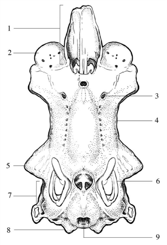 <p>1</p>
