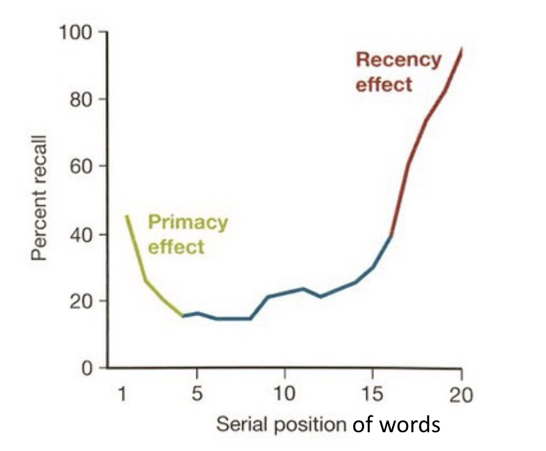 <ul><li><p><span style="background-color: transparent;">Serial position effect: the first few words (Primacy effect) and the last few words (Recency effect) on the list are typically recalled better.</span></p></li></ul><p></p>