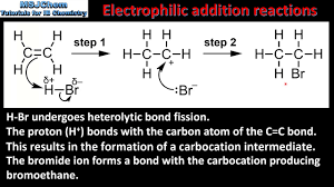 <p>Electrophilic addition is a reaction mechanism where an electrophile reacts with a nucleophile, typically involving the addition of an electrophile to the double bond of an alkene. This results in the formation of a carbocation intermediate, which can then react with a nucleophile to complete the addition. </p>