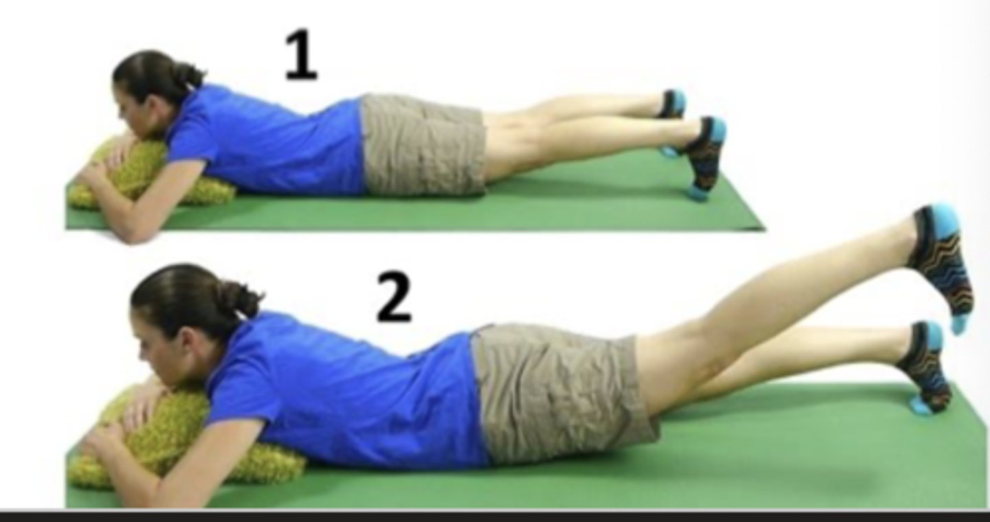 <p>pt prone</p>