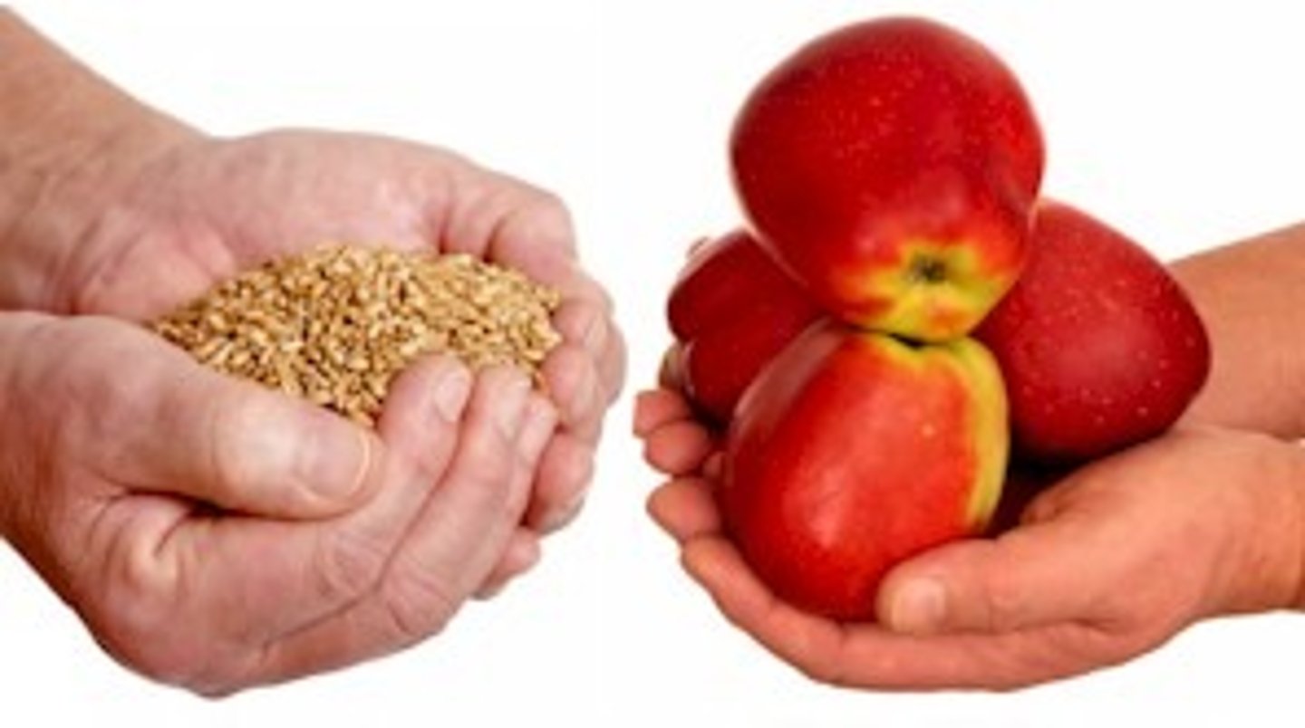 <p>Goods and services are traded directly. There is no money exchanged.</p>