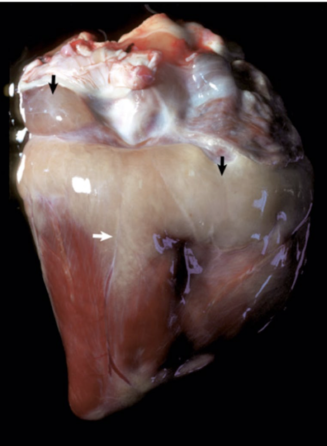 <p>What is this showing?</p>