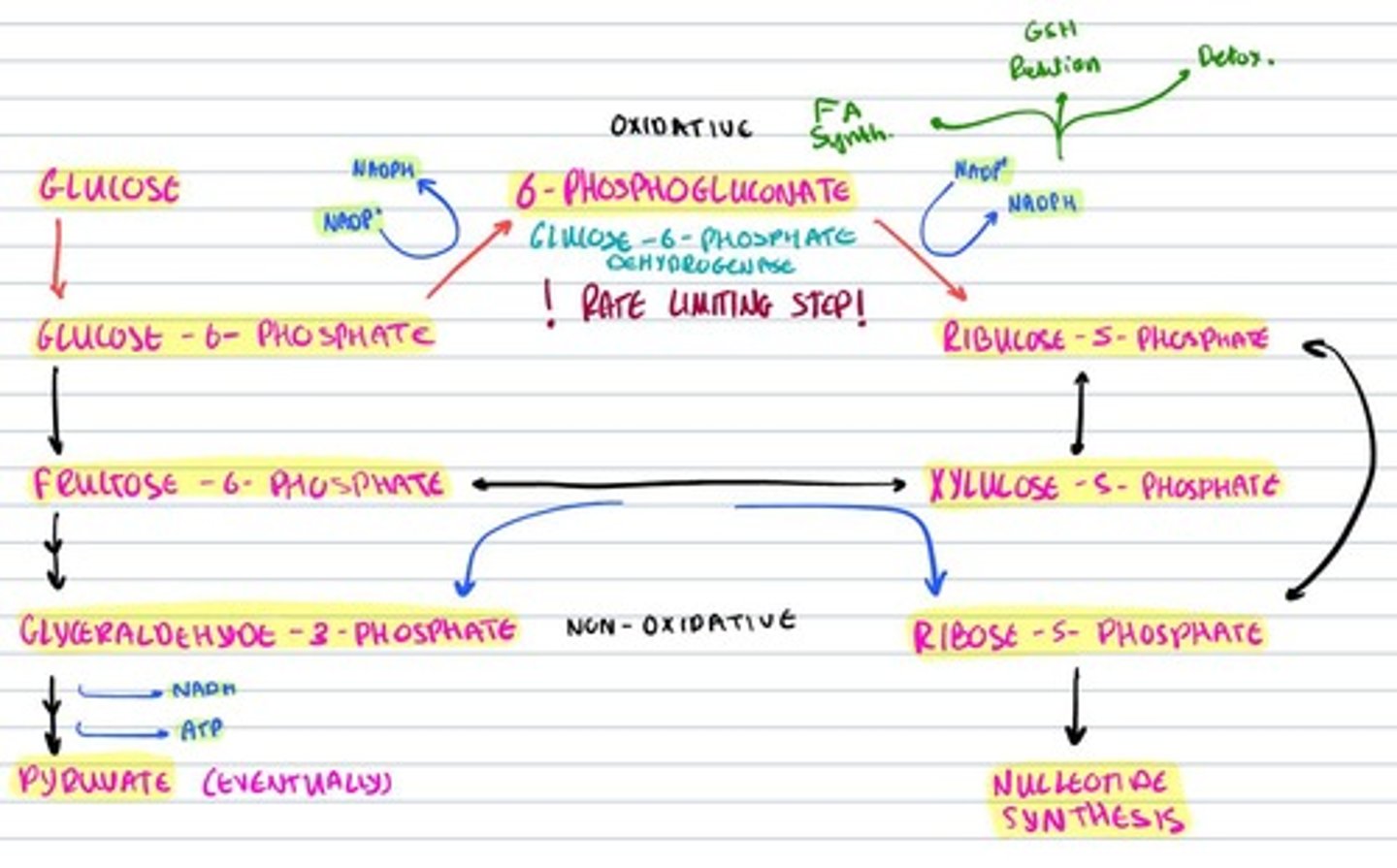 knowt flashcard image