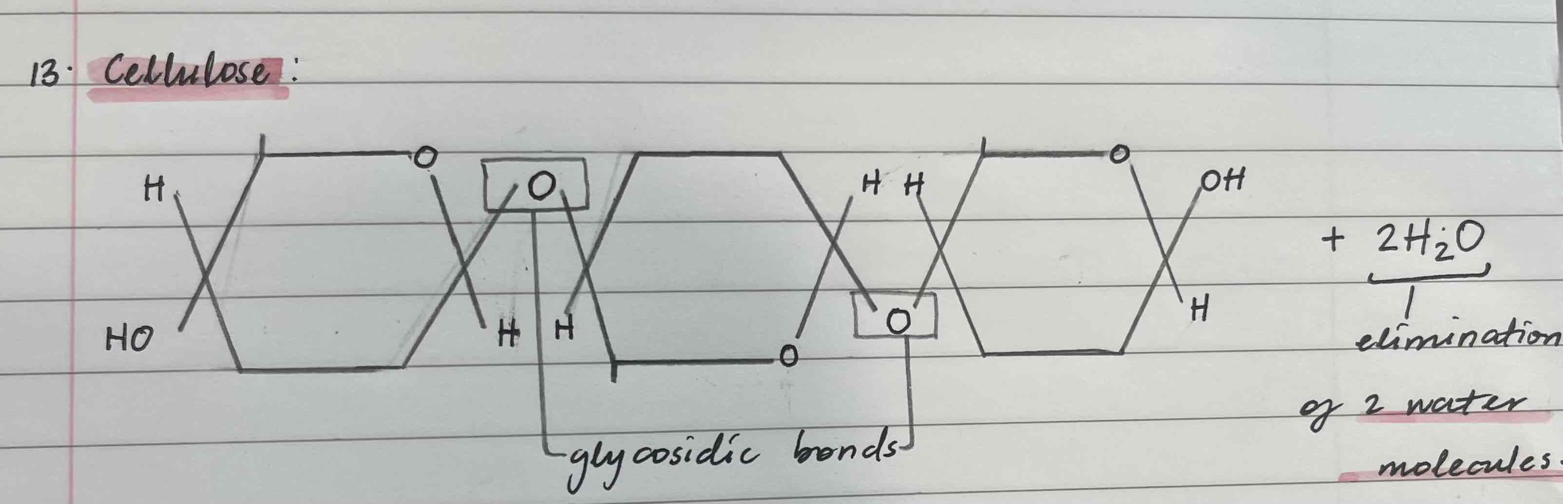 <p>Made from beta-glucose</p><p>Found in plant’s cell wall</p><p>Insoluble</p><p>Has 1,4 glycosidic bond</p>