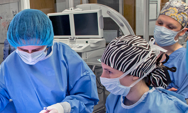 <p>cotton mask worn over mouth and nose by surgeons</p>