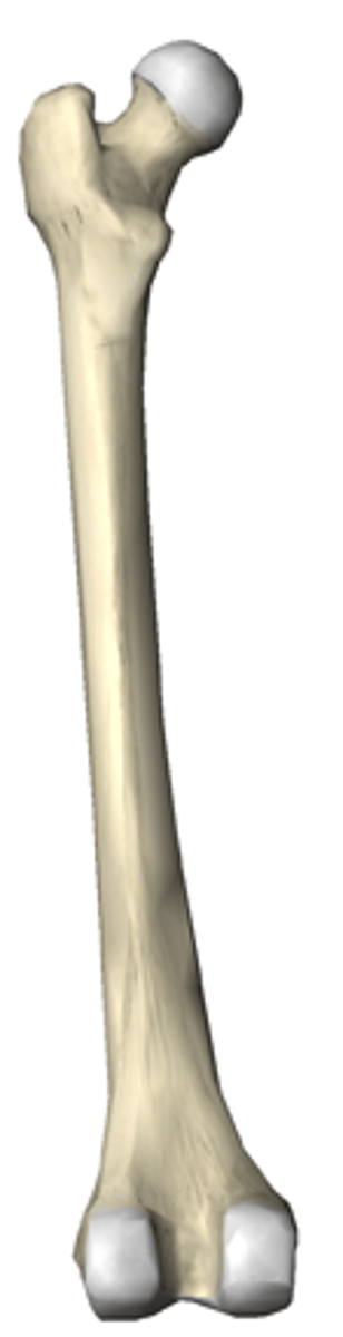 <p>right or left?</p>