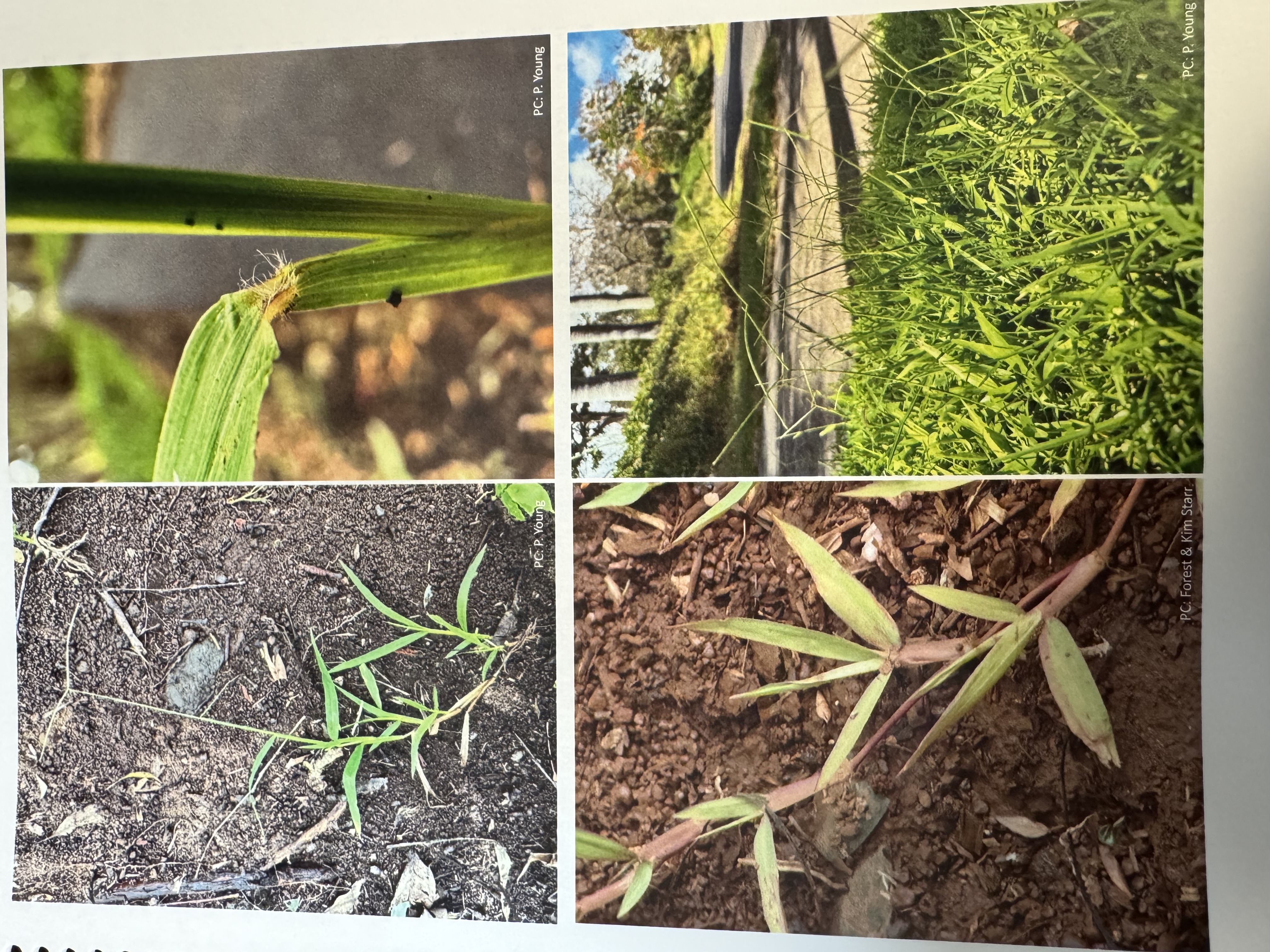 <img src="blob:null/91d58b83-8f45-49a8-9e4e-676af7e6abd6"><p></p>