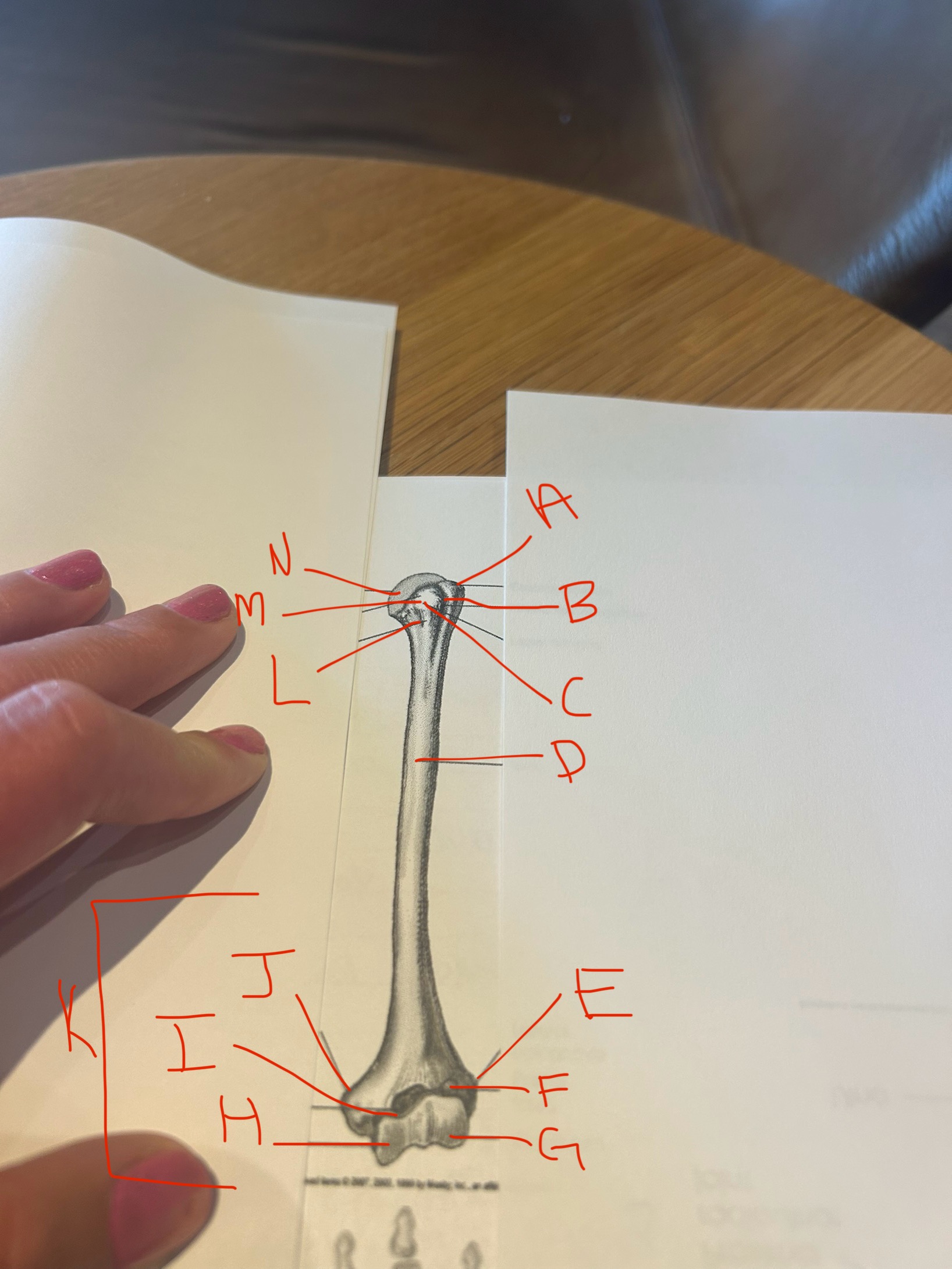 <p>label this image</p>