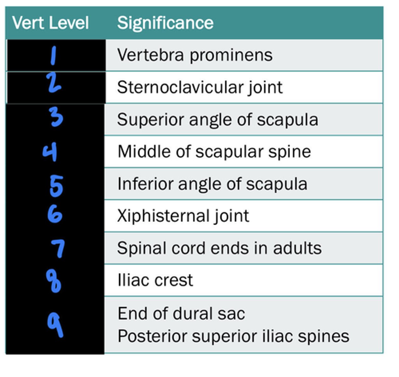 <p>vert level 9?</p>