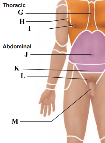 <p>Name letter J</p>